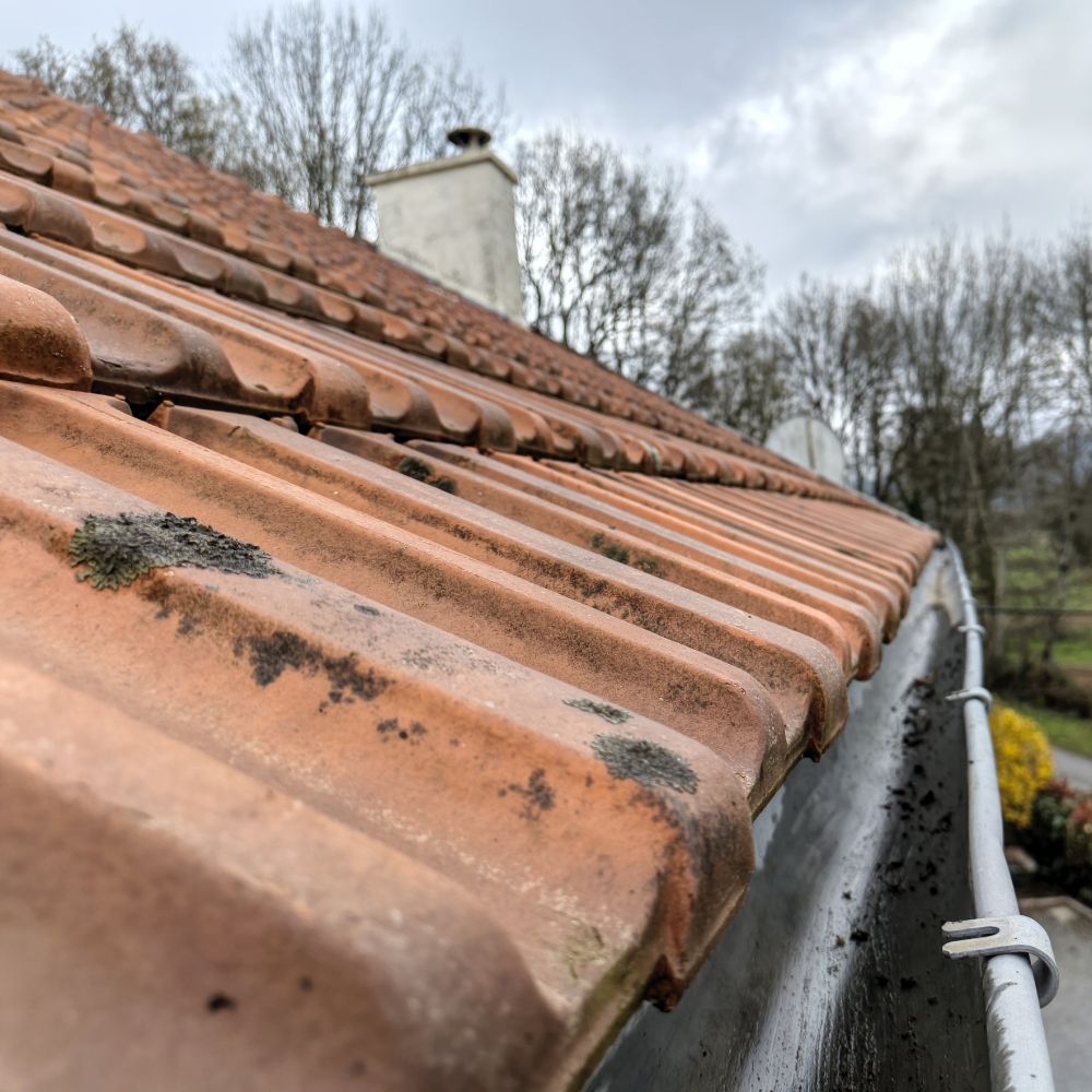 gutters after